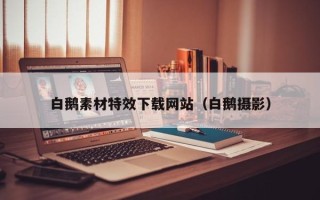 吐鲁番白鹅素材特效下载网站（白鹅摄影）